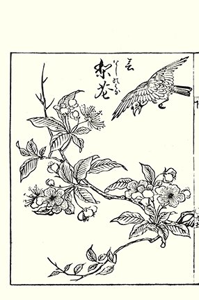 photo71.jpg