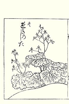 photo20.jpg