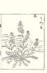 photo9_small.jpg