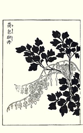 photo13.jpg