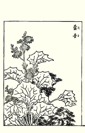 photo22.jpg
