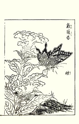 photo23.jpg
