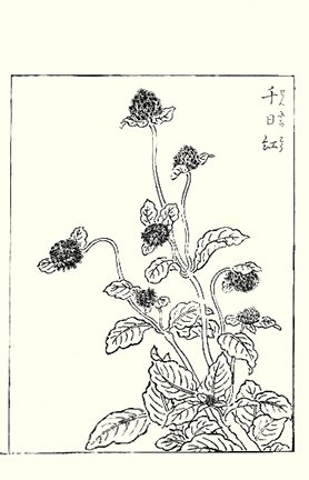 photo5.jpg