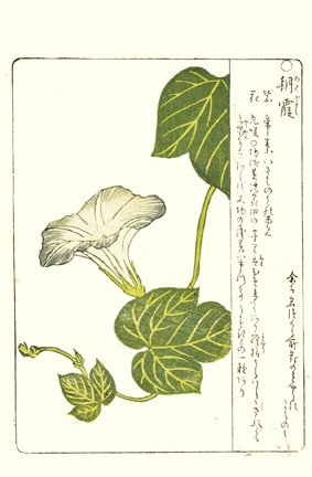 photo34.jpg