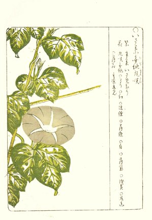 photo35.jpg