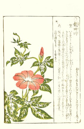 photo8.jpg