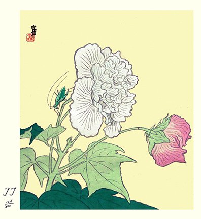 photo27.jpg