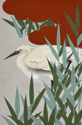 photo7.jpg
