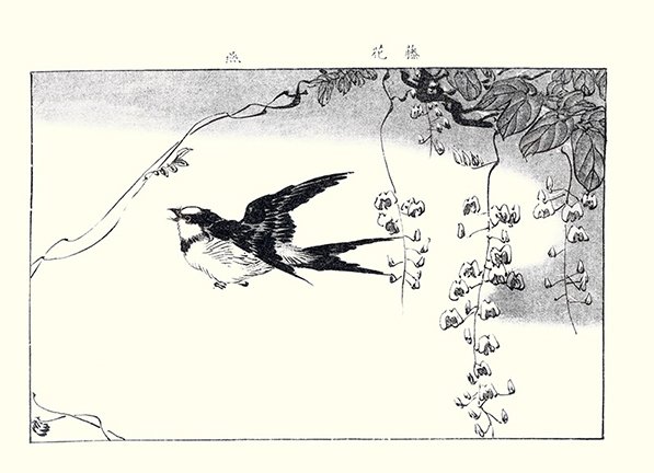photo5.jpg