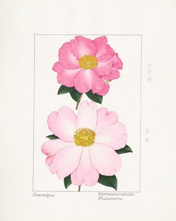 photo11.jpg