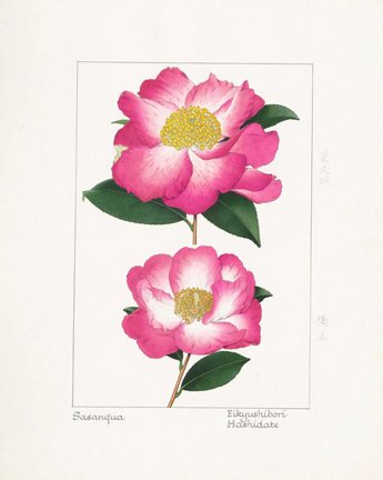 photo13.jpg