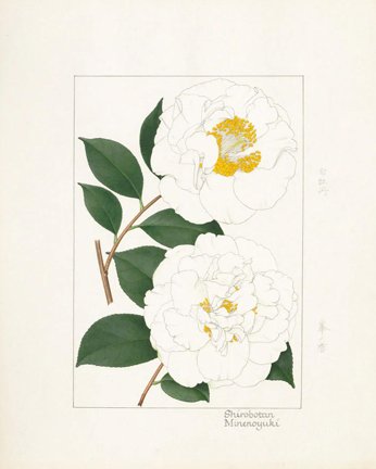 photo15.jpg