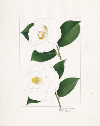 photo19.jpg