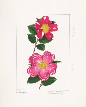 photo2.jpg