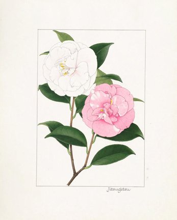 photo21.jpg
