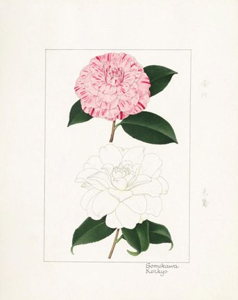 photo23.jpg
