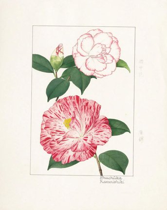photo24.jpg