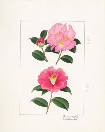 photo28.jpg
