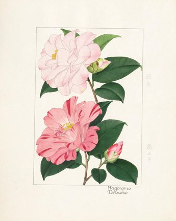 photo31.jpg