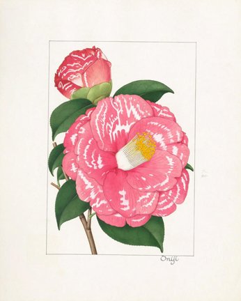 photo32.jpg