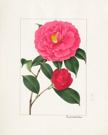 photo34.jpg