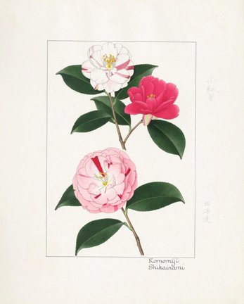 photo37.jpg