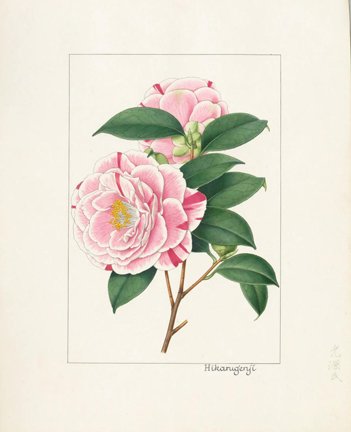 photo40.jpg