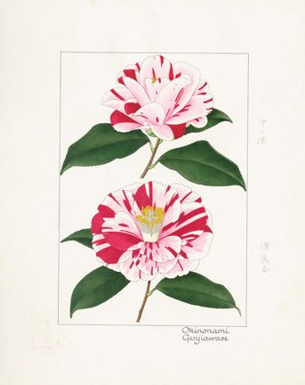 photo43.jpg