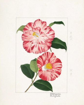 photo44.jpg