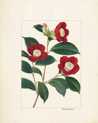 photo47.jpg