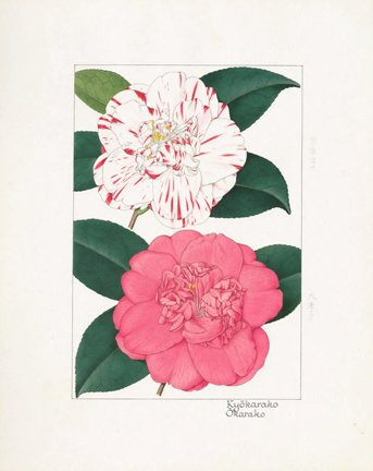 photo50.jpg