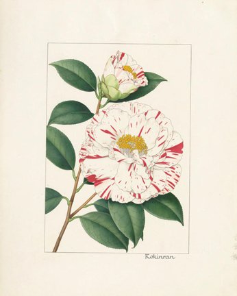 photo52.jpg