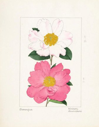 photo56.jpg