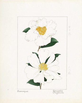 photo57.jpg