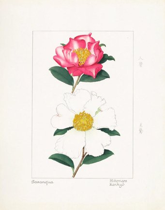 photo59.jpg
