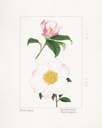 photo60.jpg