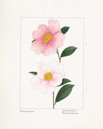 photo62.jpg
