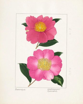 photo8.jpg