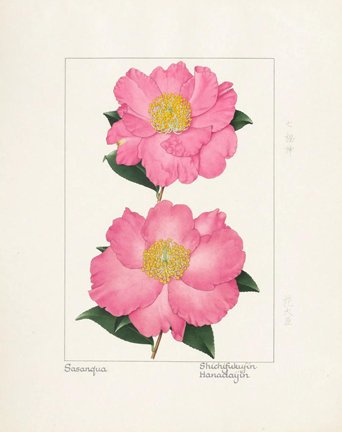 photo9.jpg
