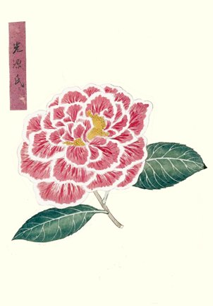 photo13.jpg