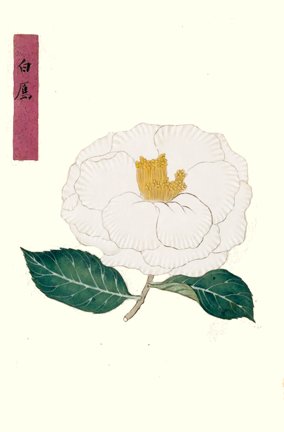 photo25.jpg