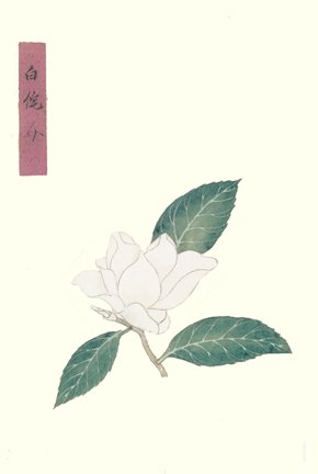 photo37.jpg