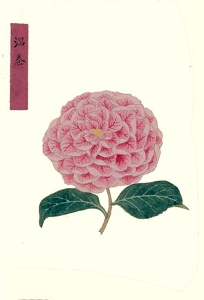 photo51.jpg