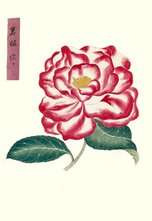 photo7.jpg