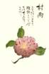 photo10_small.jpg