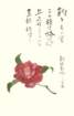 photo11_small.jpg