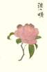 photo12_small.jpg