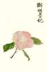 photo14_small.jpg