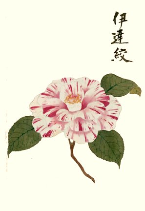 photo18.jpg
