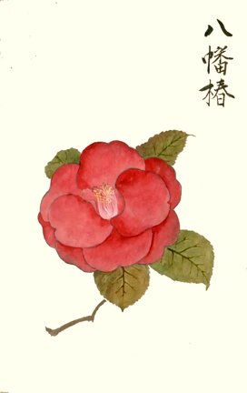 photo21.jpg